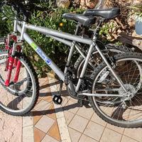 biciclette Mtb Shimano Hilton