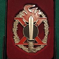 Distintivo Batt. Guastatori "Valanga" 