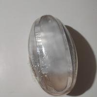 Plafoniera Ovale Esterno/Interno Fanton IP65