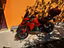 Immagine 6