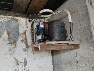 motori cella frigo 