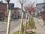 Immagine 28