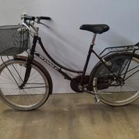 Bicicletta da 24