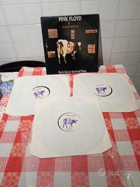 Italian tour '88 bootleg Pink Floyd