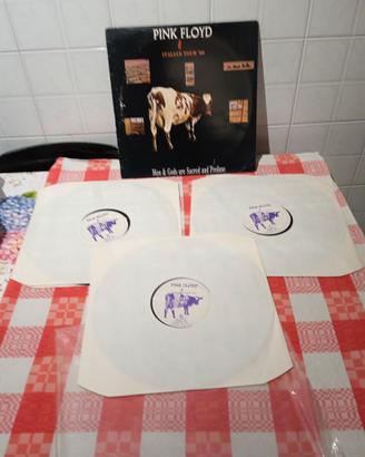 Italian tour '88 bootleg Pink Floyd