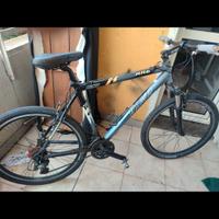 MTB olmo 