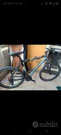 MTB olmo 