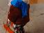 Immagine 2