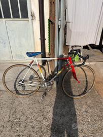 Bici da corsa montana