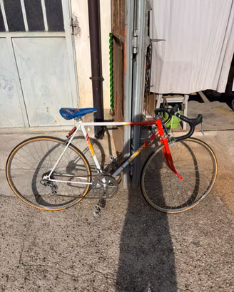 Bici da corsa montana
