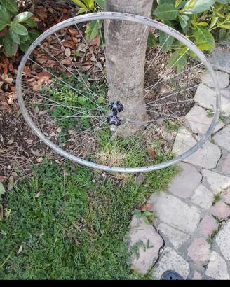 Cerchi da bici 