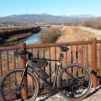 bici gravel olympia carbonio