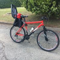 MountainBike 26" GIANT mod. Rock