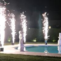 sparkular fontane fredde