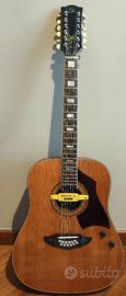 Chitarra acustica EKO 12 corde elettrificata
