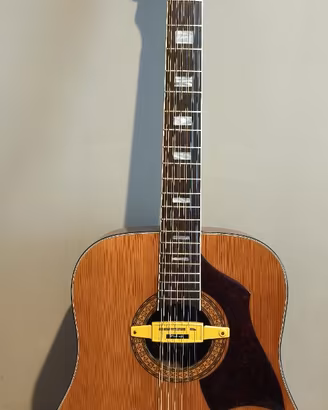 Chitarra acustica EKO 12 corde elettrificata