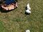 Immagine 3