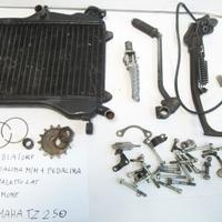 Radiatore cav lat pedalina m/m yamaha tz 250