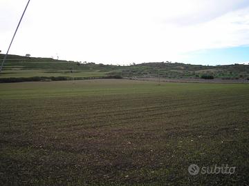 Terreno e Rustico