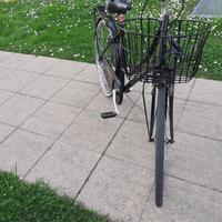 Bicicletta x donna m.26 