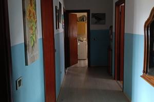 5 vanni con giardino