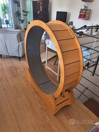 ruota per gatti 