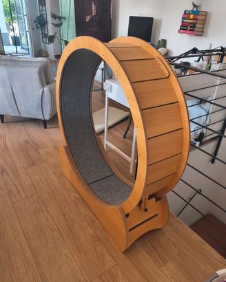 ruota per gatti 