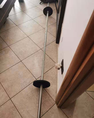 Asta trazioni (pull-up)