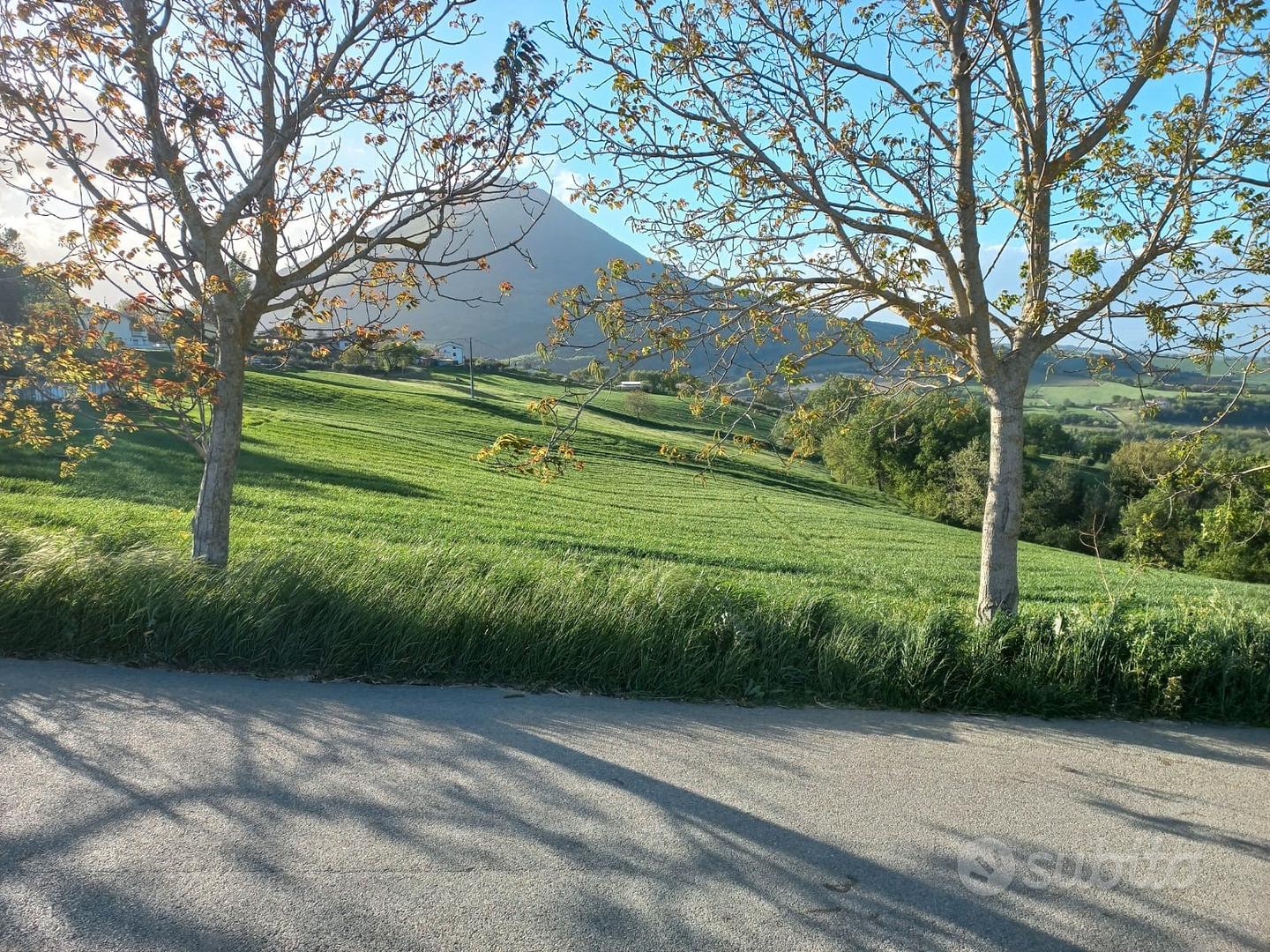 Terreno edificabile - Vista 3