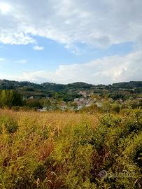 terreno agricolo in saporito 