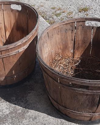 Ceste porta damigiana in legno