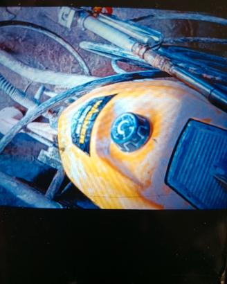 pompa spruzzo Wagner 