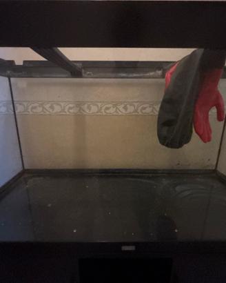 Aquario