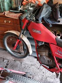trial fantic 50