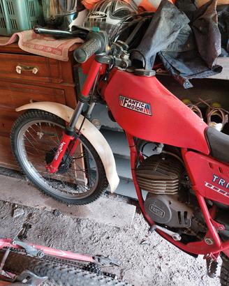 trial fantic 50