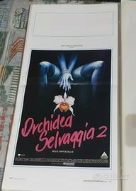 Locandina cinema vintage film Orchidea Selvaggia 2