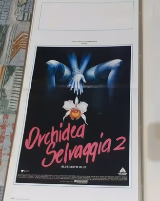Locandina cinema vintage film Orchidea Selvaggia 2