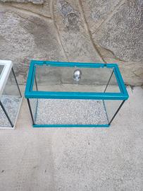 Acquario 
