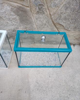 Acquario 