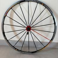 Cerchio bici ant. Ksyrium FS