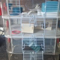 Gabbia criceti Rody multipiano
