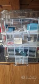 Gabbia criceti Rody multipiano