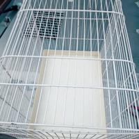 trasportino per gatti 