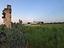 Immagine 29