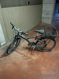 Bici bitwin