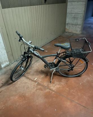 Bici bitwin
