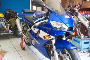 r6 da amatori