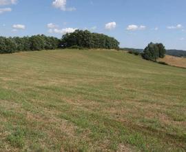 Terreno agricolo a Misano Adriatico