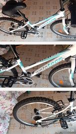 Bici mountain Bike  