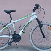 Bici MTB Kawasaki 